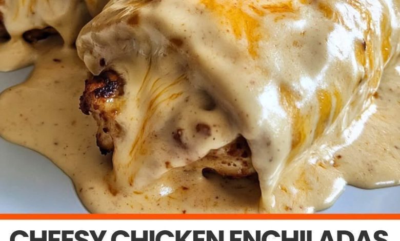 Cheesy chicken enchiladas topped with creamy sauce and salsa