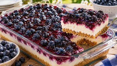 Creamy No-Bake Blueberry Delight